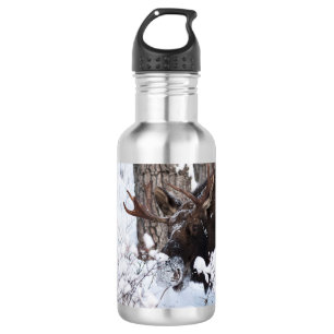Botella De Agua Chilly Moose