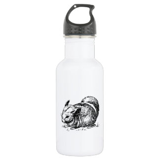 Botella De Agua Chinchilla
