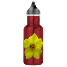 Cinquefoil arbustivo #1