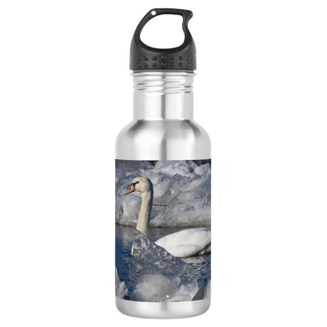 Botella De Agua Cisne juvenil en río Icey (Anverso)