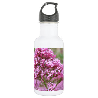 Botella De Agua Clavelito de mar