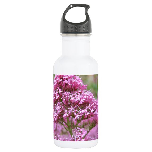 Botella De Agua Clavelito de mar (Anverso)