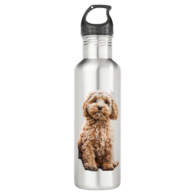 Botella De Agua Cockapoo Cavoodle Labradoodle Perro Cachorro Cacho (Anverso)
