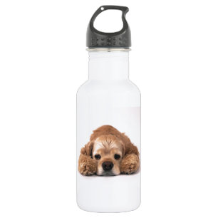 Botella De Agua Cocker spaniel lindo