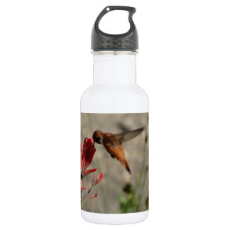 Botella De Agua Cocodrilo silvestre