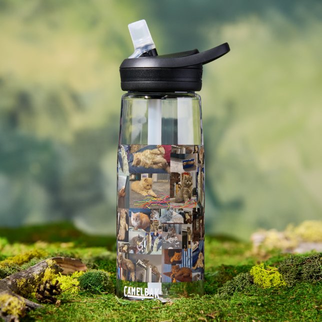 Botella De Agua Colage de fotos de gatitos,  (Exterior)