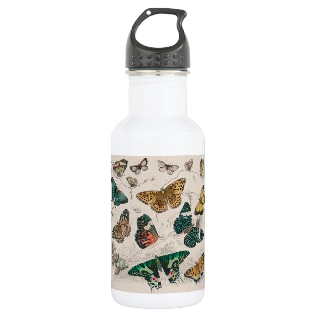 Botella De Agua Colección de mariposa Mariposas antiguas (Anverso)