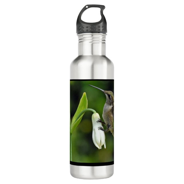 Botella De Agua Colibrí (Anverso)
