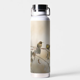Botella De Agua Colibrí 5265