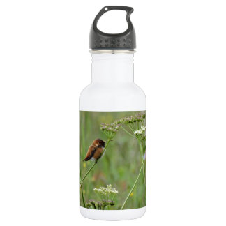 Botella De Agua Colibrí: Aves en las flores