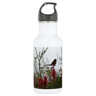 Botella De Agua Colibrí en Dusk
