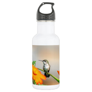 Botella De Agua Colibrí en una planta floreciente