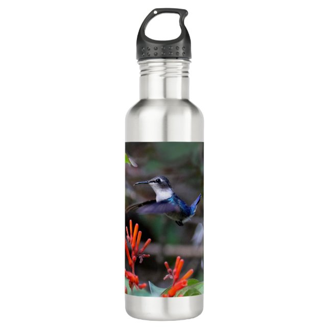 Botella De Agua Colibrí en vuelo y flores rojas (Anverso)