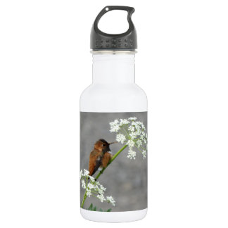Botella De Agua Colibrí sobre la flor de encaje de la Reina Ann