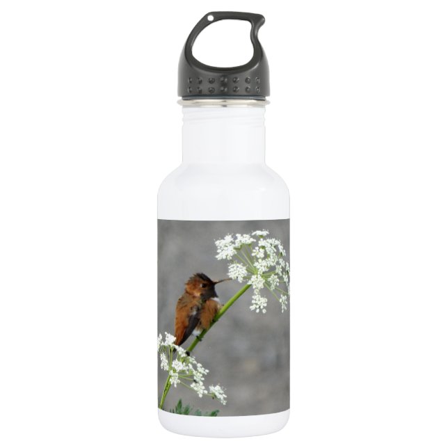 Botella De Agua Colibrí sobre la flor de encaje de la Reina Ann (Anverso)