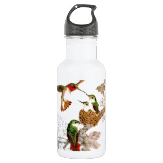 Botella De Agua Colibríes