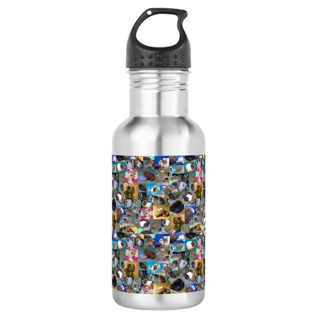 Botella De Agua Collage de fotos de cerdo de Guinea, botella de ag (Anverso)