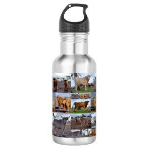 Botella De Agua Collage de fotos De Vacas De Las Tierras Altas, Bo