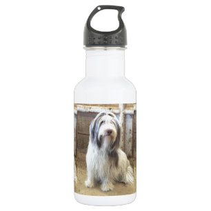 Botella De Agua Collie con barba