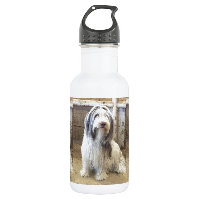 Botella De Agua Collie con barba (Anverso)