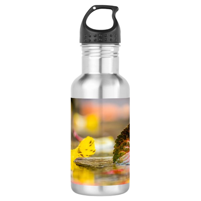 Botella De Agua Colores de otoño (Anverso)