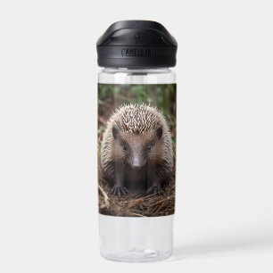 Botella De Agua **"Comienzos Spiky: El Adorable Bebé Echidna"**