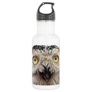 Botella De Agua ¿Cómo Estás? Owl ¿Quién Eres?