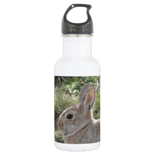 Botella De Agua Conejo de conejo de rabo blanco