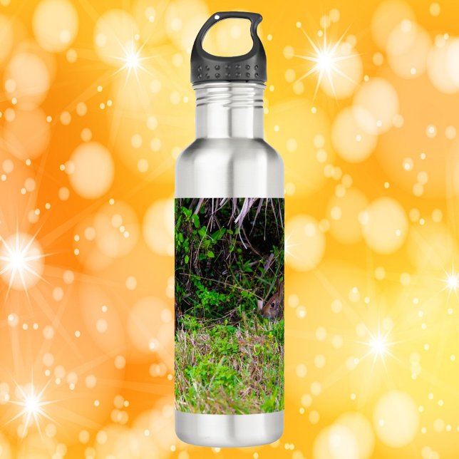 Botella De Agua Conejos conejos en la Florida (A cute water bottle with a photo of two bunny rabbits.)