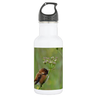 Botella De Agua Coqueto colibrí