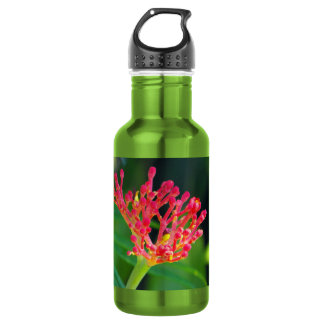 Botella De Agua Coral Bush en flor