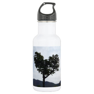 Botella De Agua Corazón de New Hampshire