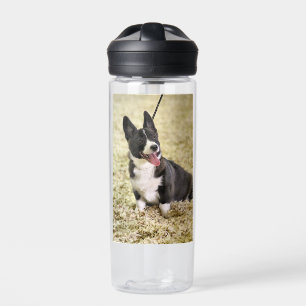 Botella De Agua Corgi