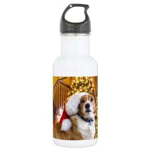 Botella De Agua Corgi del navidad