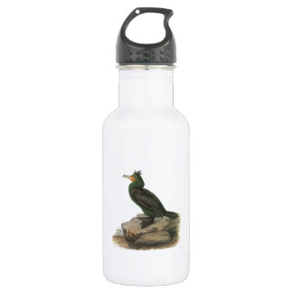 Botella De Agua Cormorant de doble cresta por Audubon
