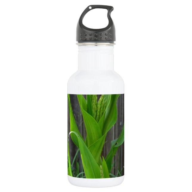 Botella De Agua Corn Stalk (Anverso)