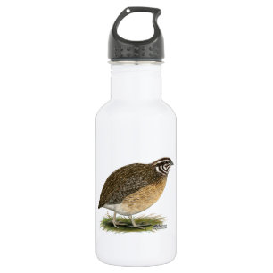 Botella De Agua Coturnix Pharaoh Quail