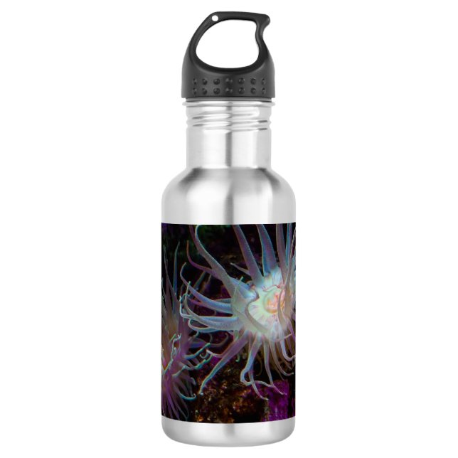 Botella de agua Crimson Anemone (Anverso)