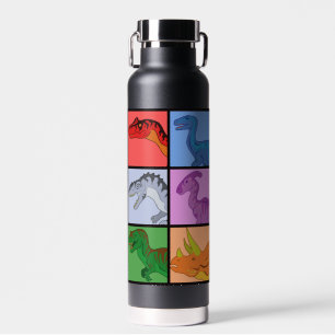 Botella De Agua Cuadrados de dinosaurios