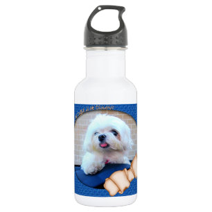 Botella De Agua Cuánto Es Ese Doggie En La Ventana