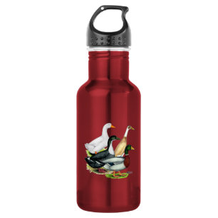 Botella De Agua Cuarteto de pato