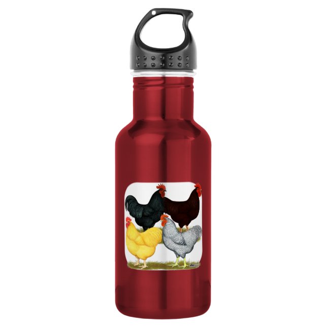 Botella De Agua Cuarteto de pollo de gallo pesado (Anverso)