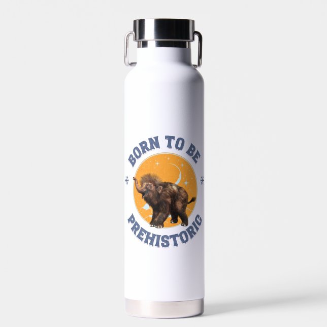 Botella De Agua Cumpleaños prehistórico de mamut bebé divertido (Delantero)