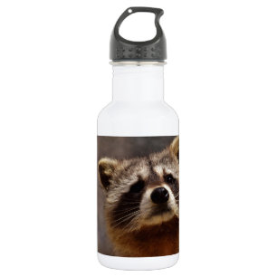 Botella De Agua Curioso mapache