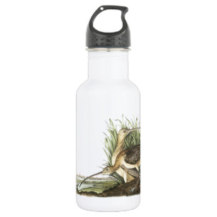 Botella De Agua Curlew de larga factura de Audubon