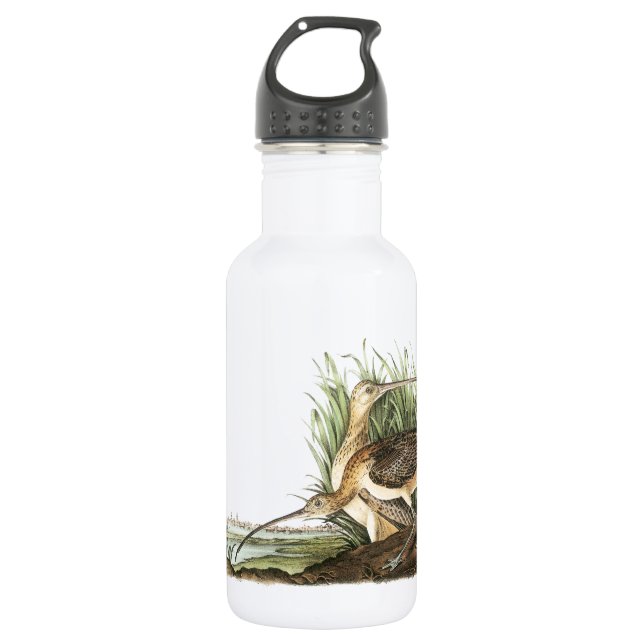 Botella De Agua Curlew de larga factura de Audubon (Anverso)