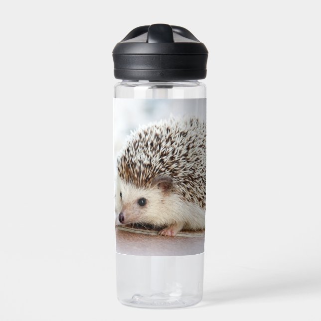 Botella De Agua Cute Baby Hedgehog (Delante)