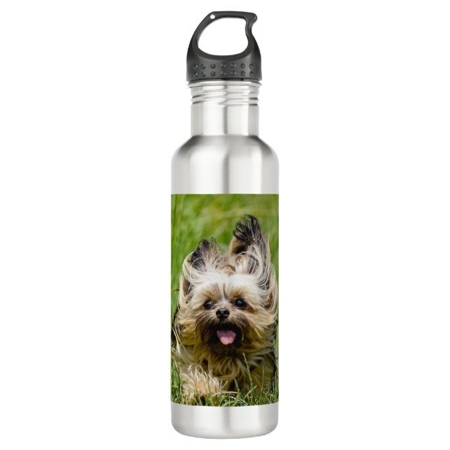 Botella De Agua Cute Yorkshire Terrier Running Through Grass (Anverso)