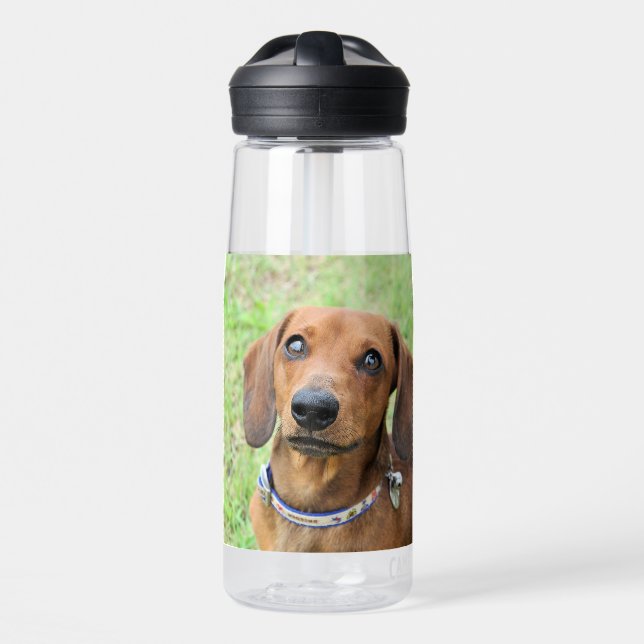 Botella De Agua Dachshund (Delante)