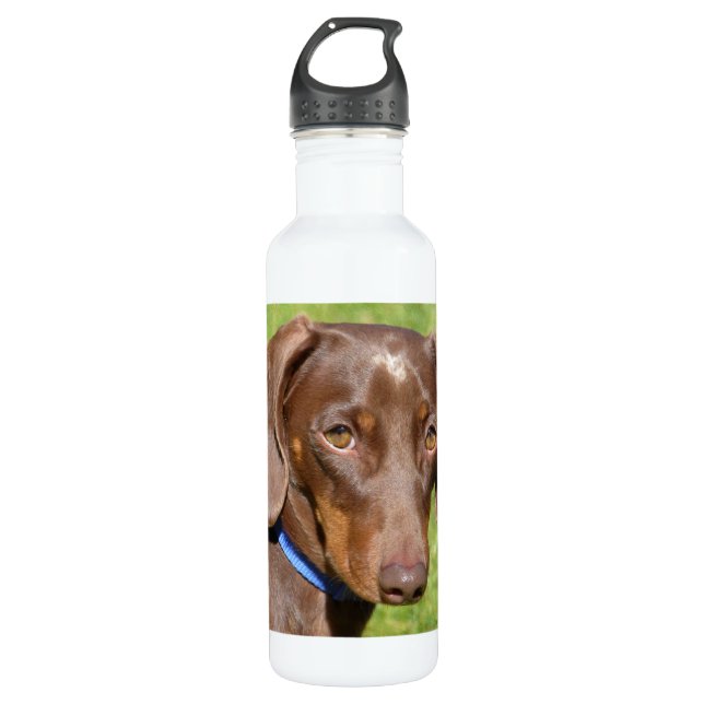 Botella De Agua Dachshund (Anverso)